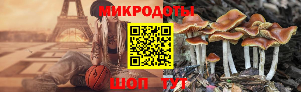 Псилоцибиновые грибы GOLDEN TEACHER  где можно купить наркотик  Коммунар  Вход с VPN 
