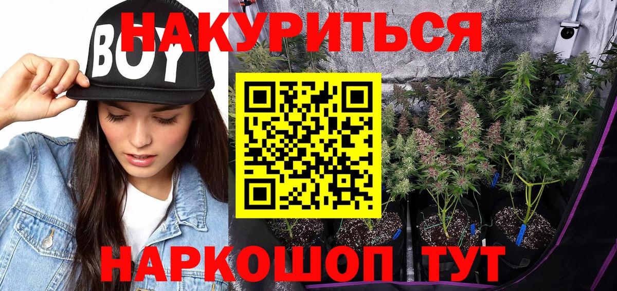 Конопля гибрид Коммунар